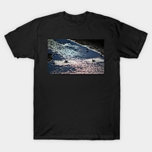 Birds playing in Crocodile River T-Shirt